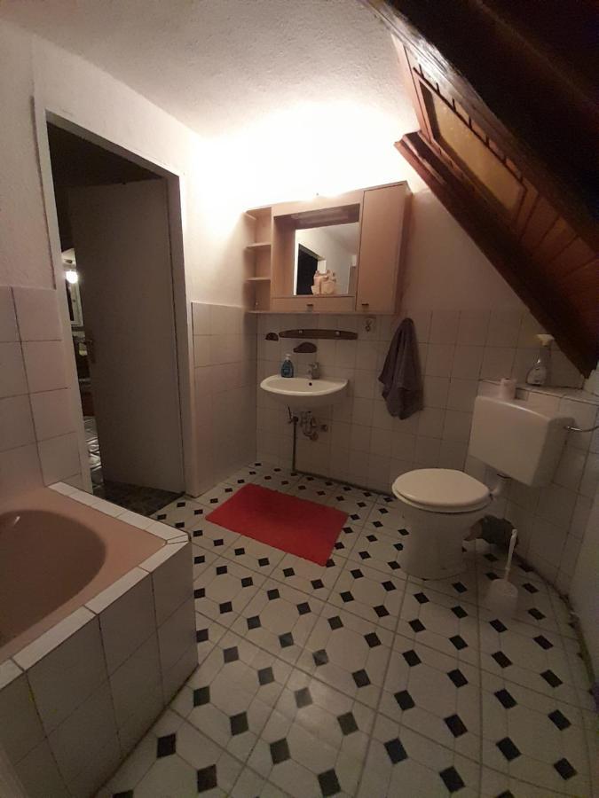 Ferienwohnung Why Not Polle Buitenkant foto